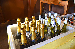 A CELERATION OF LIFE